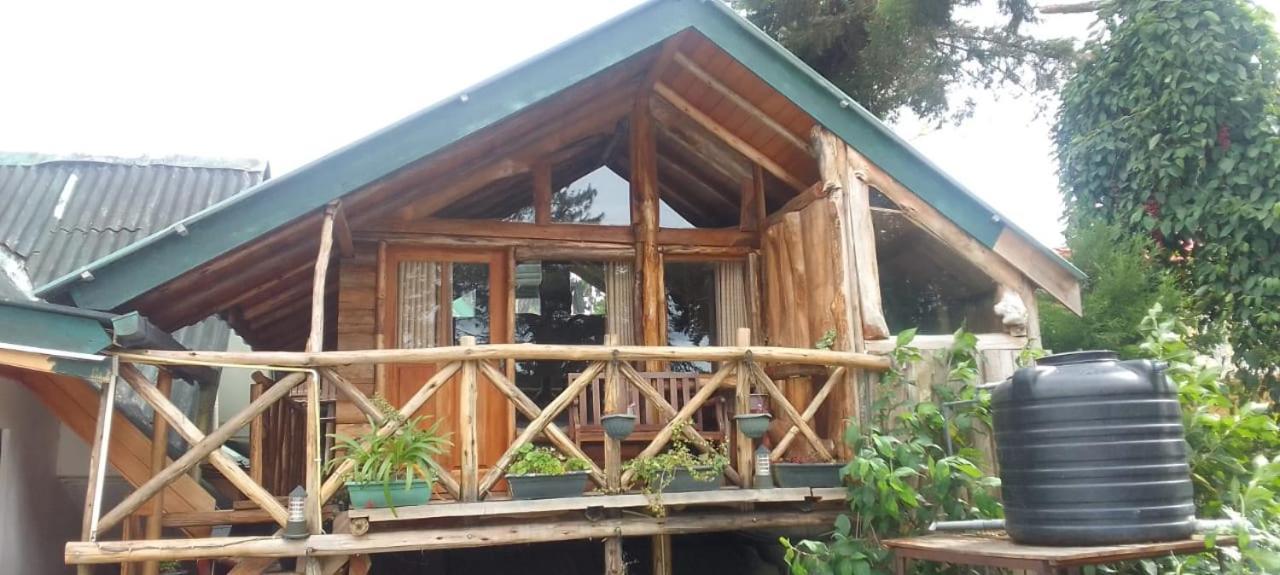 Eco Creations Wooden Cottage Νουβάρα Ελίγια Εξωτερικό φωτογραφία